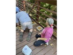 IMG_0935